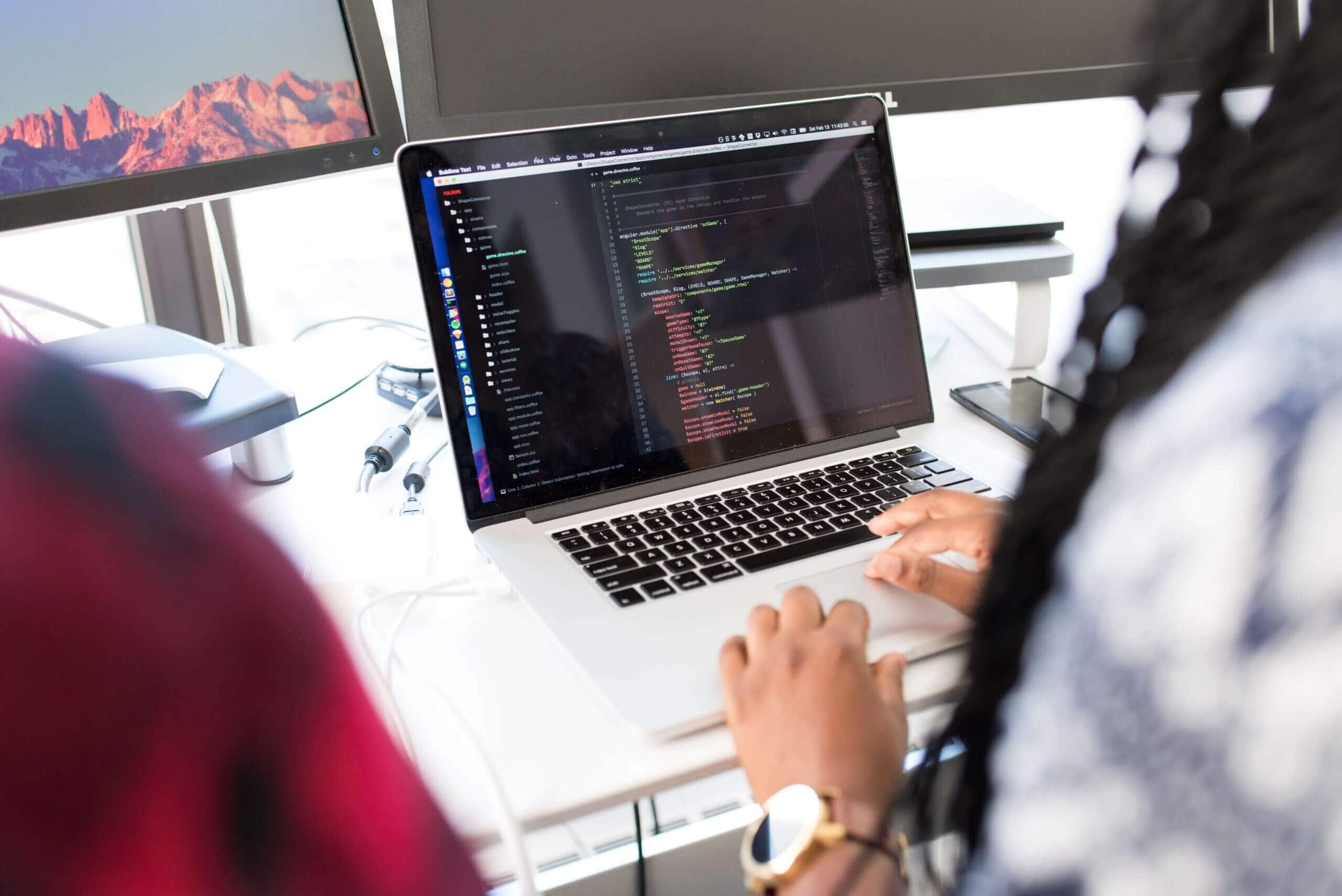 software developer